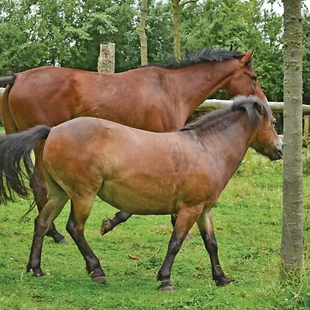 Дом отдыха De La Lombardie *